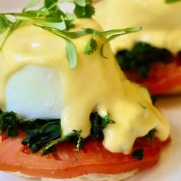Florentine Benedict.